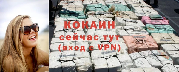 крисы Болхов