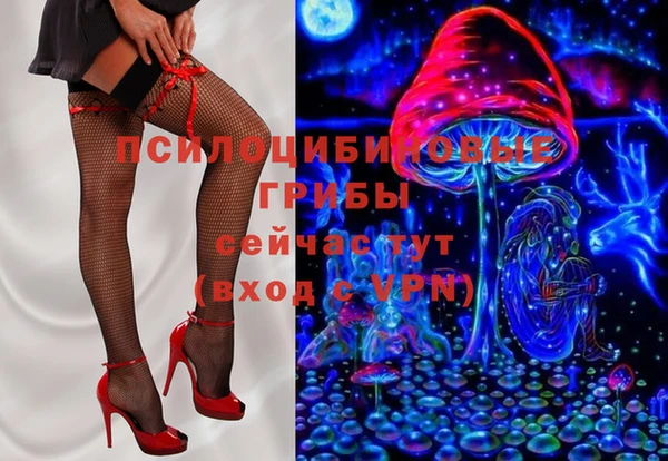 спиды Кулебаки