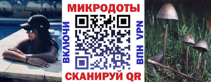 Галлюциногенные грибы Psilocybe  Любим 